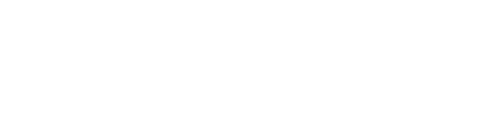 Shadow Watch Logo